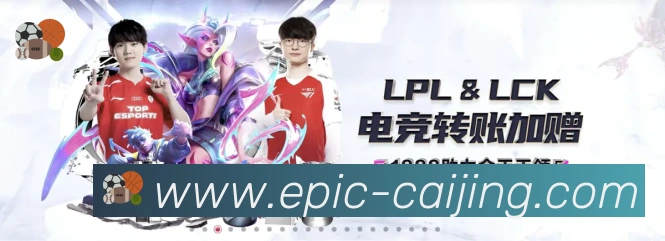 彩经网服务体系